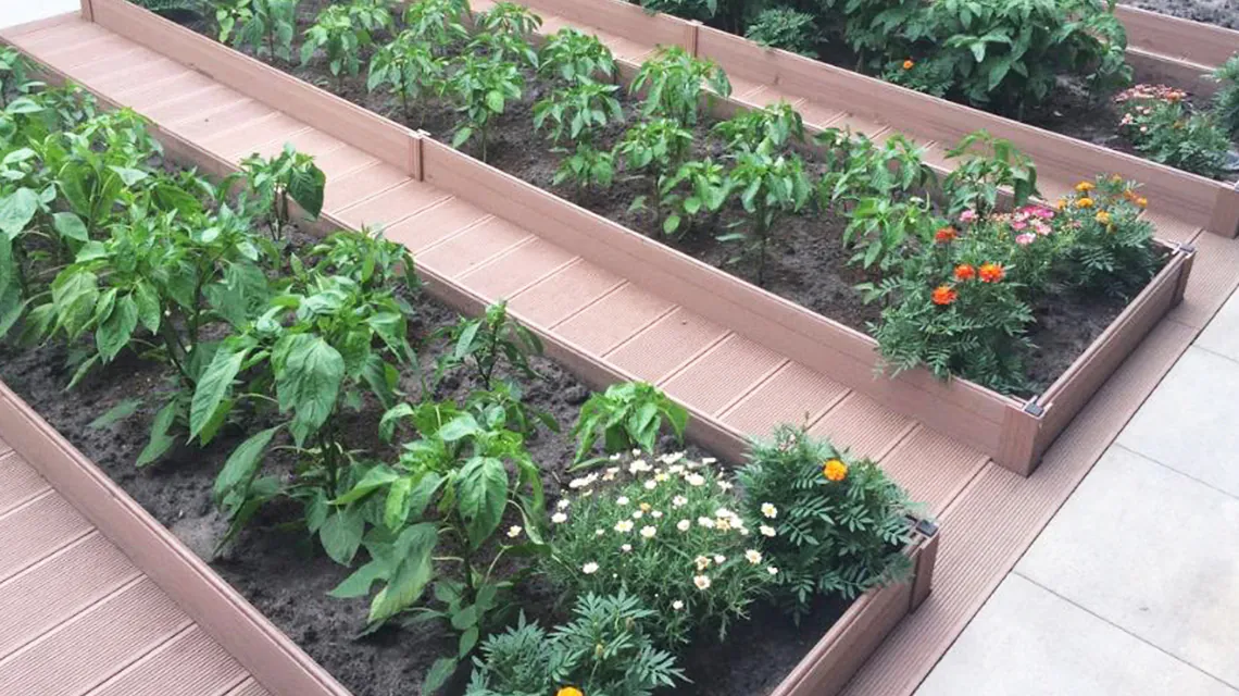 Грядки из композитной доски для огорода