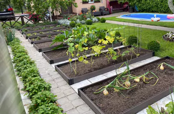 Грядки из ДПК